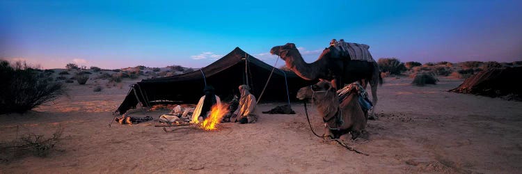 Bedouin Camp At Dusk, Sahara Desert, Tunisia, Africa
