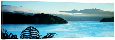 Kenepuru Sound, Marlborough Sounds, South Island, New Zealand Canvas Art Print - New Zealand Art