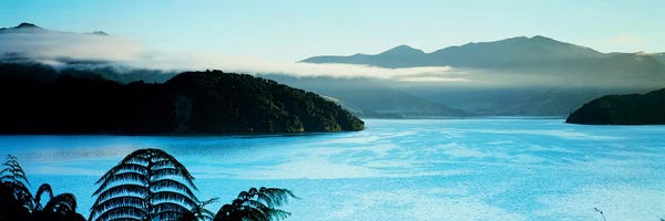 New Zealand: Kenepuru Sound, Marlborough Sounds, South Island, New Zealand by Panoramic Images