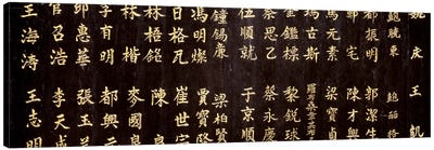 Close-Up Of Chinese Ideograms Canvas Art Print - Chinese Décor