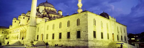 Domes: Yeni Mosque, Istanbul, Turkey by Panoramic Images