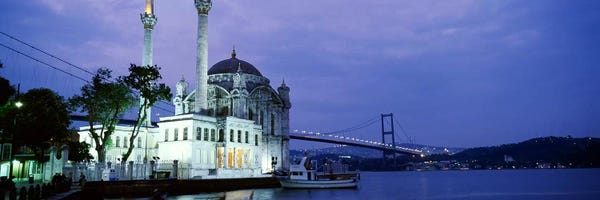 Blue Mosque: Ortakoy Mosque, Istanbul, Turkey by Panoramic Images