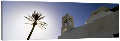 Low angle view of a palm tree near a church , Ios, Cyclades Islands, Greece Canvas Art Print - Palm Tree Art