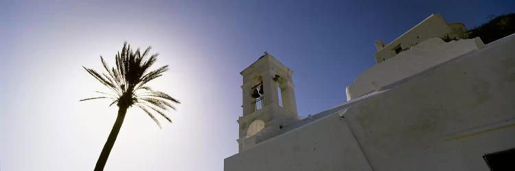 Low angle view of a palm tree near a church , Ios, Cyclades Islands, Greece