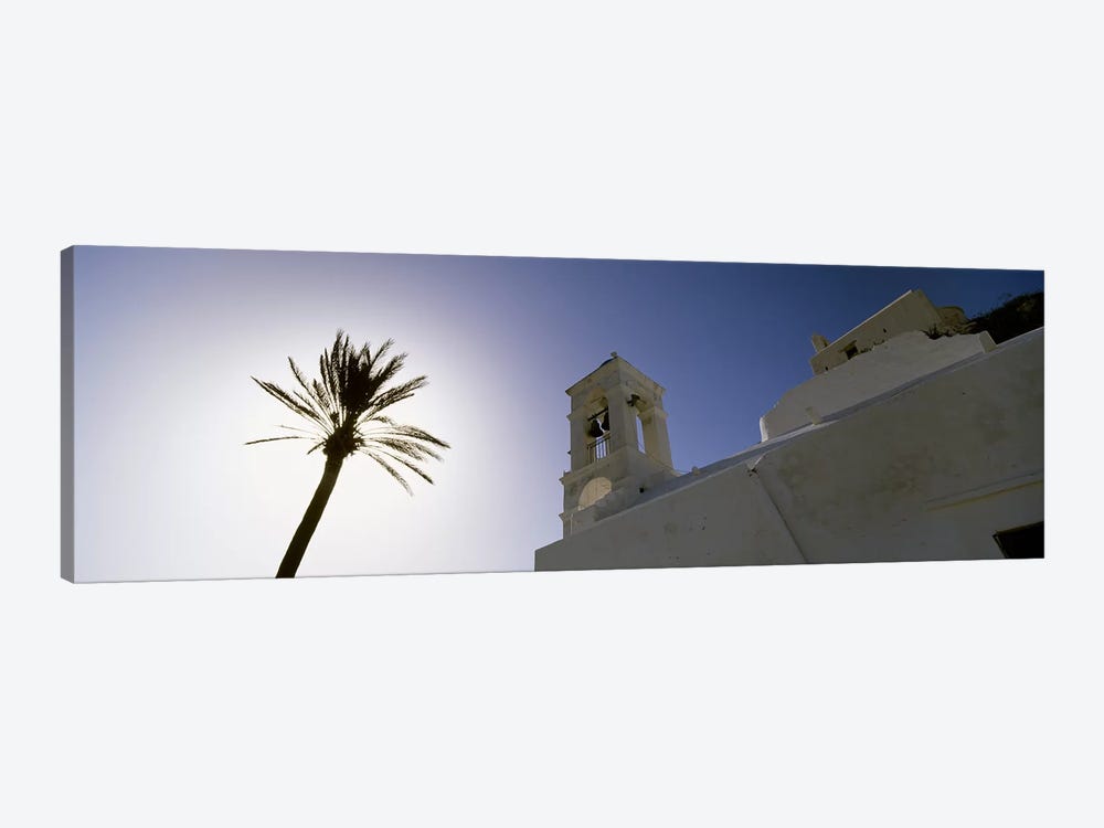 Low angle view of a palm tree near a church , Ios, Cyclades Islands, Greece by Panoramic Images 1-piece Canvas Artwork