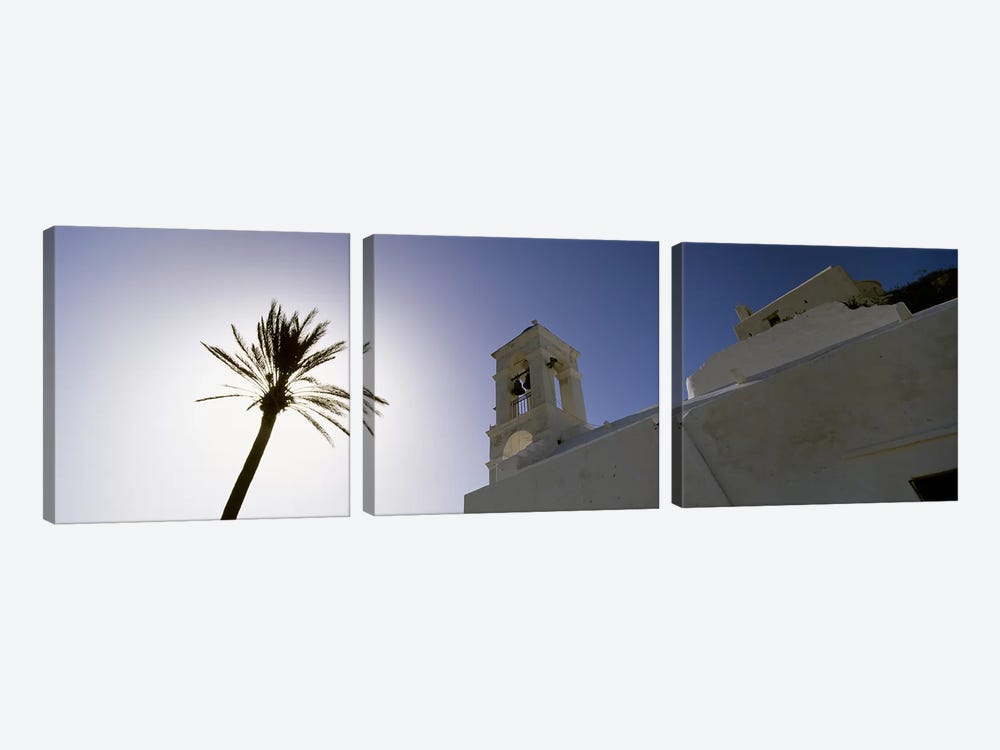 Low angle view of a palm tree near a church , Ios, Cyclades Islands, Greece by Panoramic Images 3-piece Canvas Art
