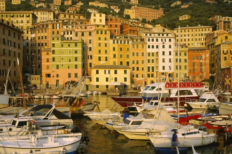 Boats In Harbor, Camogli, Genoa, Liguria, Italy