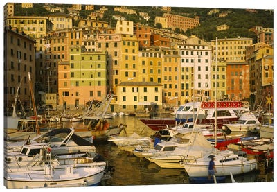 Boats In Harbor, Camogli, Genoa, Liguria, Italy Canvas Art Print - Harbor & Port Art