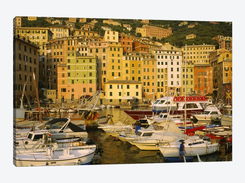 Boats In Harbor, Camogli, Genoa, Liguria, Italy by Panoramic Images 1-piece Canvas Artwork