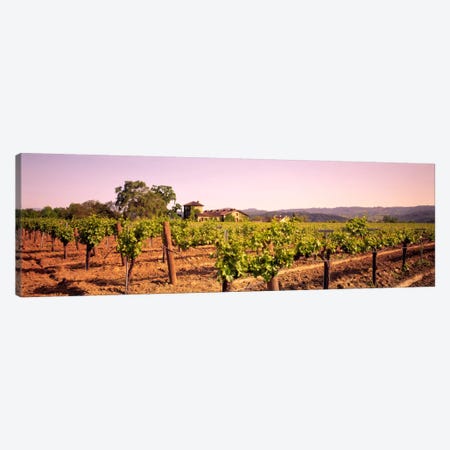 Sattui Winery, St. Helena, Napa Valley, California, USA Canvas Print #PIM44} by Panoramic Images Art Print