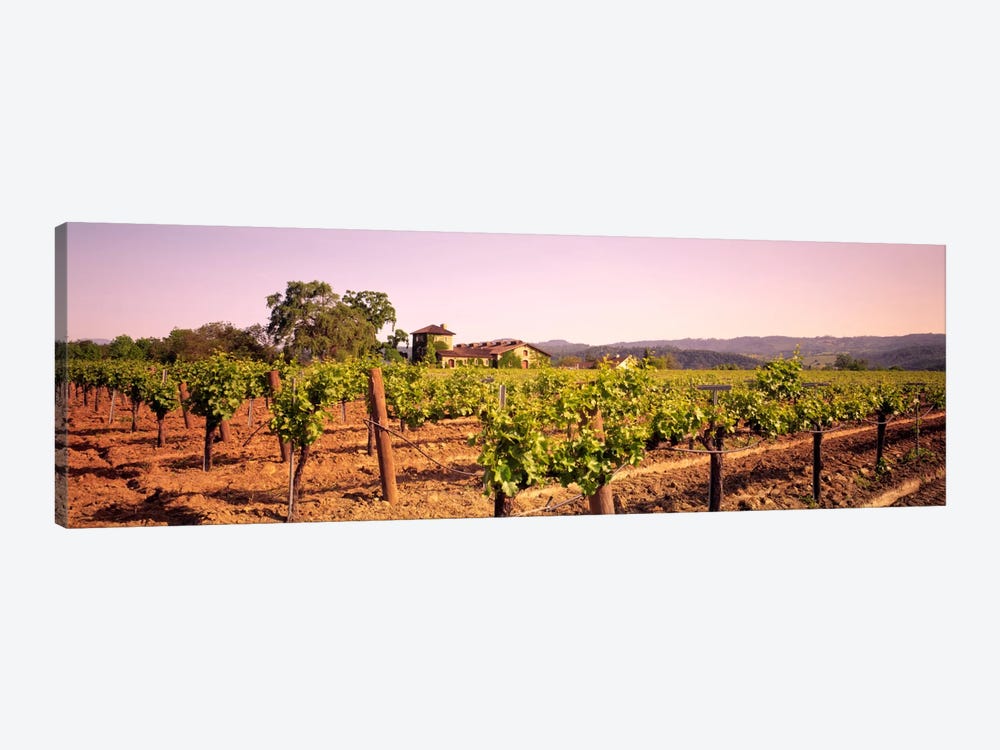 Sattui Winery, St. Helena, Napa Valley, California, USA by Panoramic Images 1-piece Canvas Art