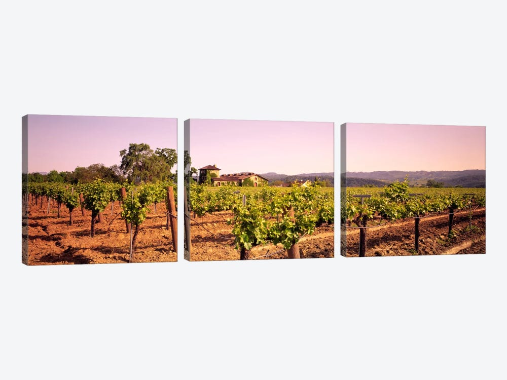 Sattui Winery, St. Helena, Napa Valley, California, USA by Panoramic Images 3-piece Canvas Art