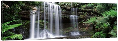Waterfall in a forest, Russell Falls, Mt Field National Park, Tasmania, Australia Canvas Art Print - Panoramic Photography