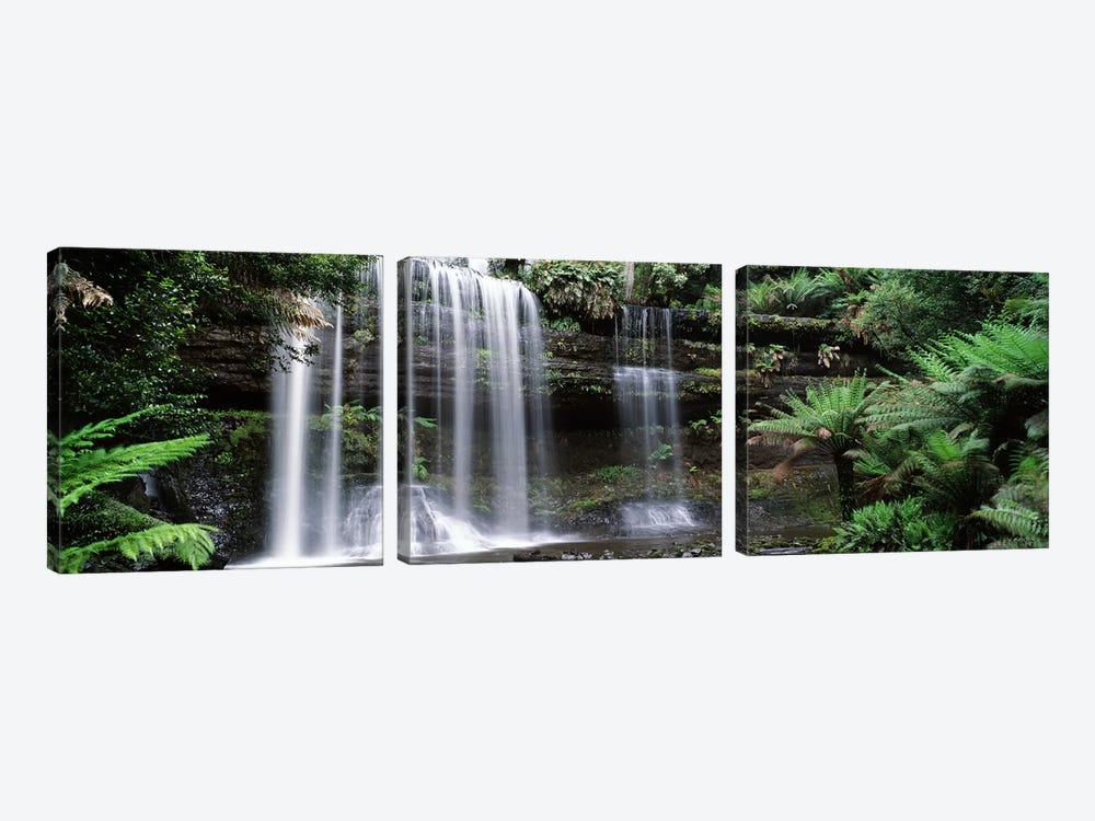 Waterfall in a forest, Russell Falls, Mt Field National Park, Tasmania, Australia by Panoramic Images 3-piece Canvas Print