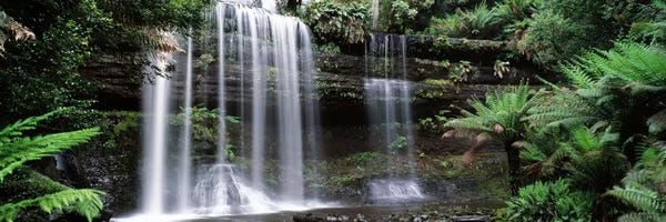 Large Photography - Canvas Prints: Waterfall in a forest, Russell Falls, Mt Field National Park, Tasmania, Australia by Panoramic Images