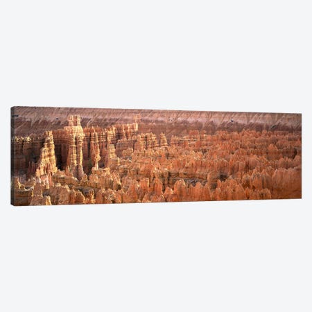 Hoodoos In An Amphitheater, Bryce Canyon National Park, Utah, USA Canvas Print #PIM4548} by Panoramic Images Canvas Artwork