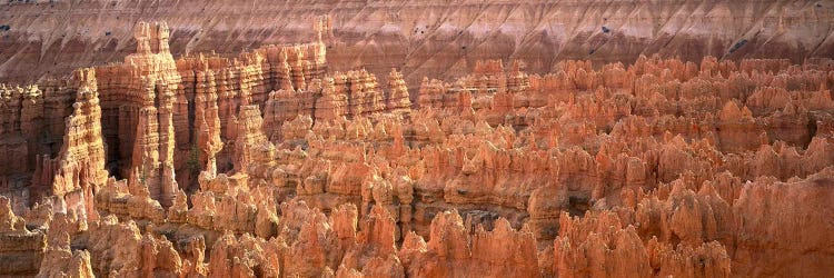 Hoodoos In An Amphitheater, Bryce Canyon National Park, Utah, USA