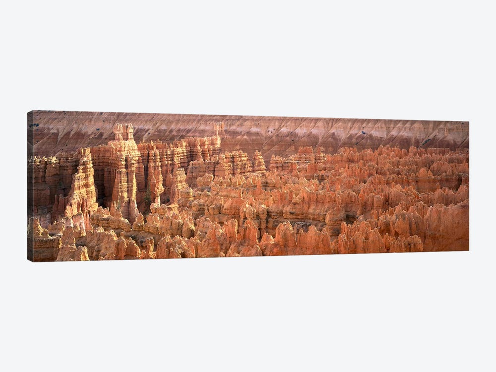 Hoodoos In An Amphitheater, Bryce Canyon National Park, Utah, USA by Panoramic Images 1-piece Canvas Artwork