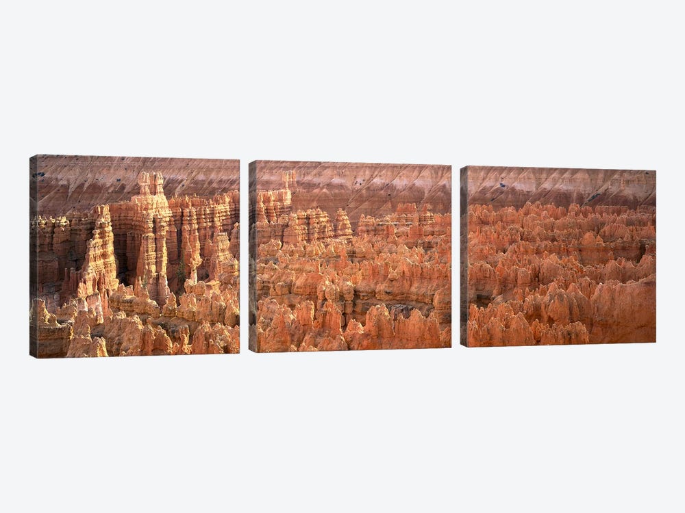 Hoodoos In An Amphitheater, Bryce Canyon National Park, Utah, USA by Panoramic Images 3-piece Canvas Art