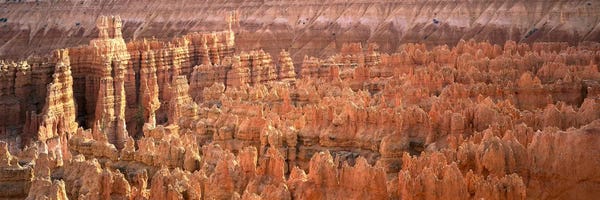 Utah: Hoodoos In An Amphitheater, Bryce Canyon National Park, Utah, USA by Panoramic Images