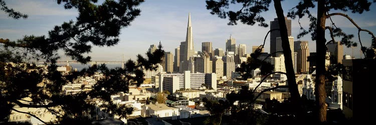 High Angle View Of A City, San Francisco, California, USA