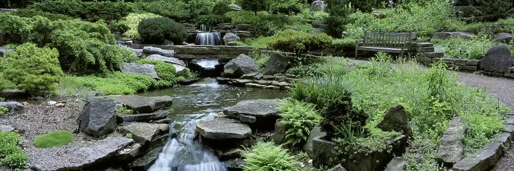 River Flowing Through A Forest, Inniswood Metro Gardens, Columbus, Ohio, USA