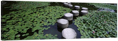 Water Lilies And Stepping Stones In A Pond, Heian Shrine, Sakyo-ku, Kyoto, Japan Canvas Art Print - Panoramic Photography