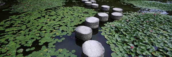Water Lilies And Stepping Stones In A Pond, Heian Shrine, Sakyo-ku, Kyoto, Japan