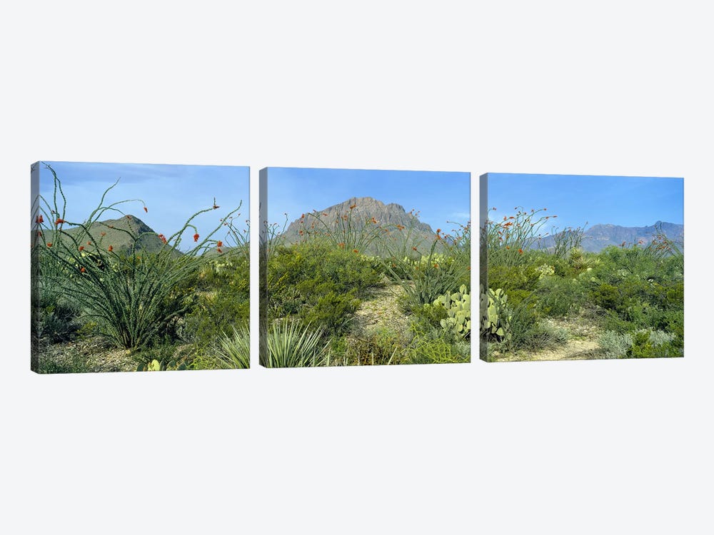 Mountainous Desert Landscape, Big Bend National Park, Texas, USA by Panoramic Images 3-piece Canvas Print
