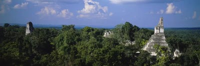 High-Angle View Of Temple I (Temple Of The Great Jaguar), Tikal, El Peten, Guatemala by Panoramic Images canvas print