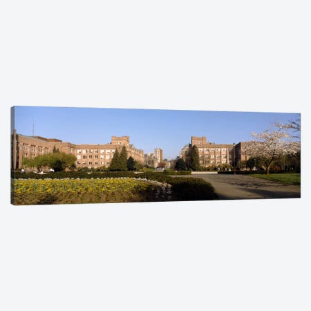 Trees in the lawn of a university, University of Washington, Seattle, King County, Washington State, USA Canvas Print #PIM481} by Panoramic Images Canvas Artwork