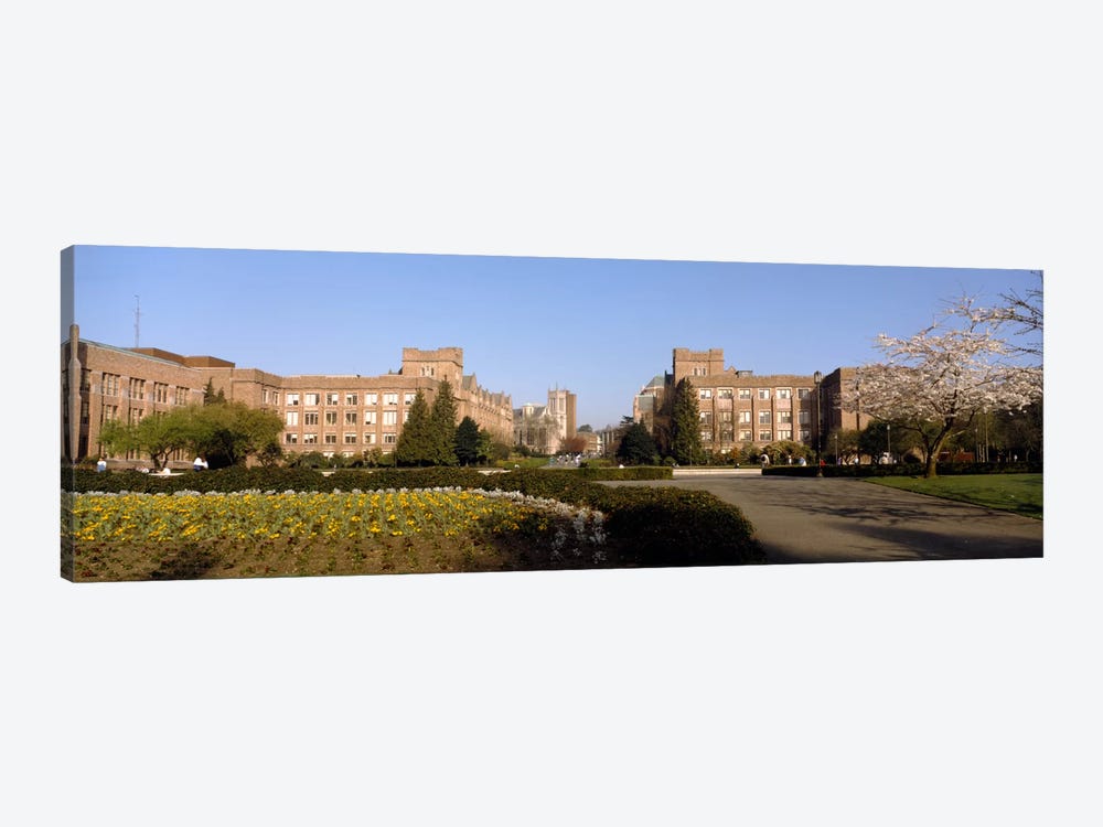 Trees in the lawn of a university, University of Washington, Seattle, King County, Washington State, USA by Panoramic Images 1-piece Canvas Artwork