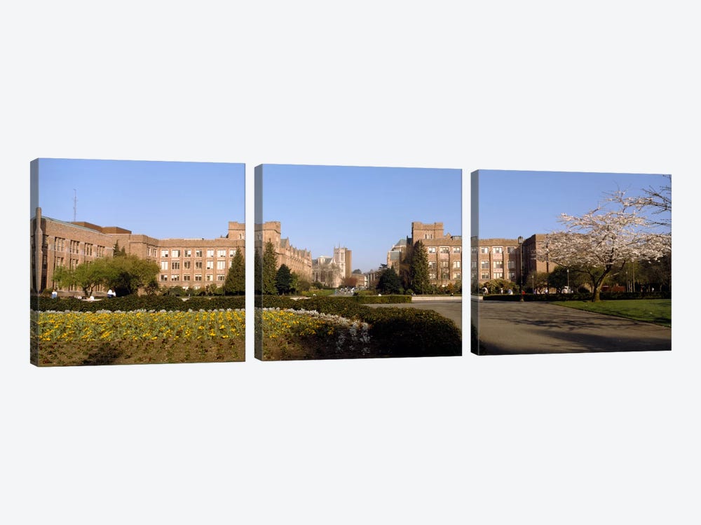 Trees in the lawn of a university, University of Washington, Seattle, King County, Washington State, USA by Panoramic Images 3-piece Canvas Wall Art