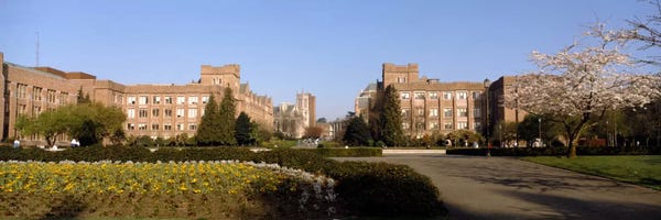 Seattle: Trees in the lawn of a university, University of Washington, Seattle, King County, Washington State, USA by Panoramic Images
