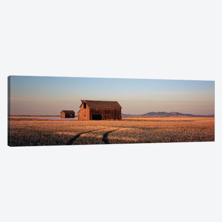 Old Barn In A Wheatfield, Hobson, Judith Basin County, Montana, USA Canvas Print #PIM4820} by Panoramic Images Canvas Print