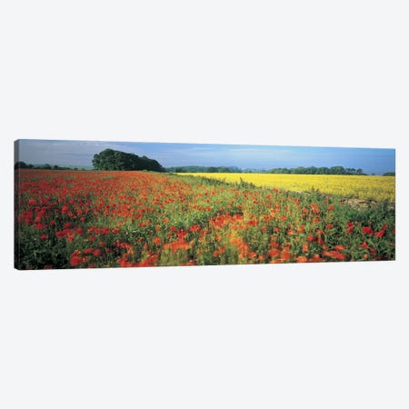 Floral Valley Landscape, Avon Valley, Near Bath, Somerset, England, United Kingdom Canvas Print #PIM4862} by Panoramic Images Art Print