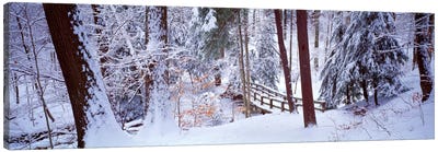 Winter footbridge Cleveland Metro Parks, Cleveland OH USA Canvas Art Print - Snowscape Art