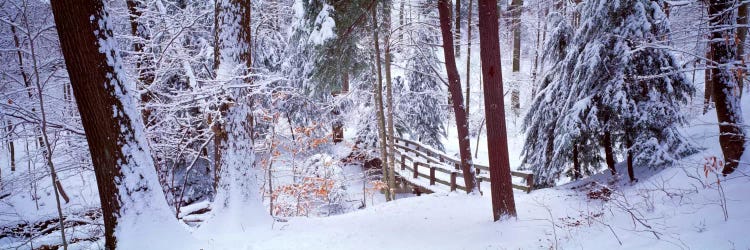 Winter footbridge Cleveland Metro Parks, Cleveland OH USA