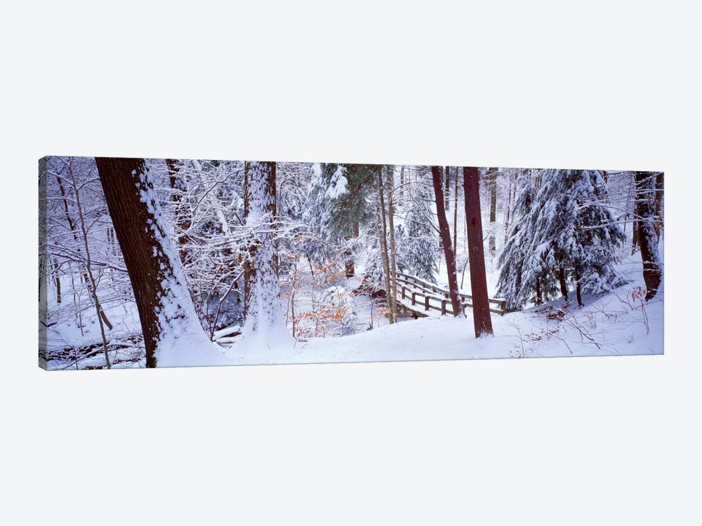 Winter footbridge Cleveland Metro Parks, Cleveland OH USA by Panoramic Images 1-piece Canvas Art Print