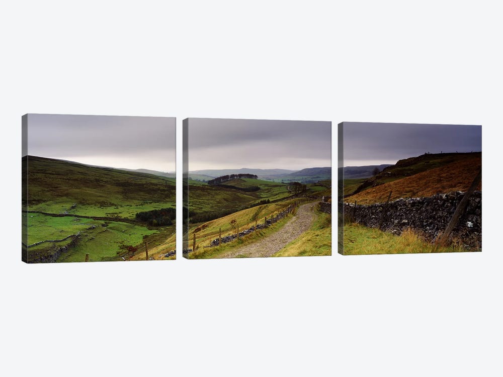 Upper Valley Landscape, Ribblesdale, Yorkshire, England, United Kingdom by Panoramic Images 3-piece Art Print