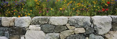 Wildflowers growing near a stone wall, Fidalgo Island, Skagit County, Washington State, USA by Panoramic Images multi panel art