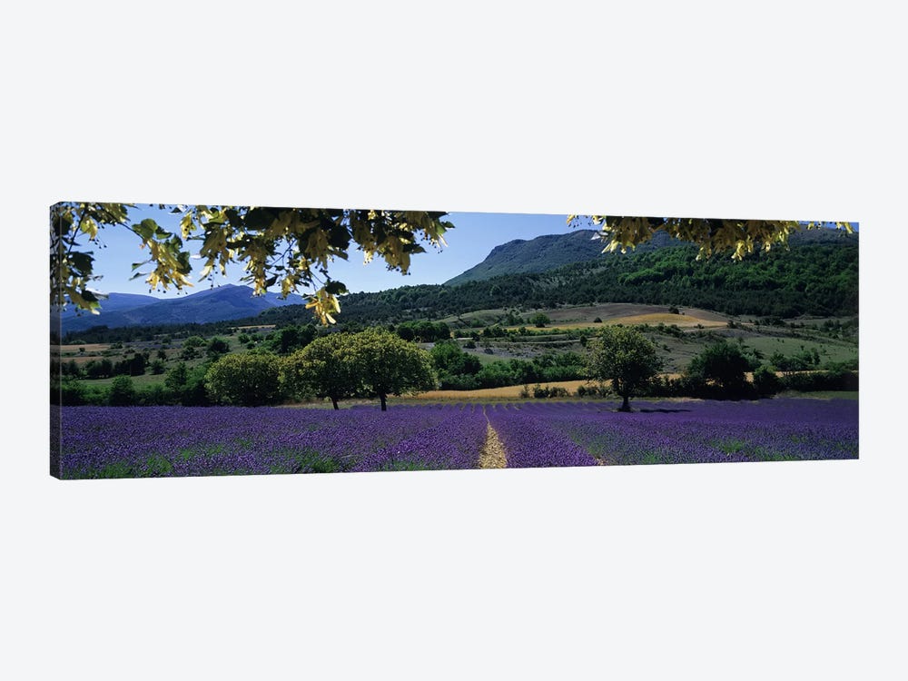Countryside Landscape I, Provence-Alpes-Cote d'Azur France by Panoramic Images 1-piece Art Print