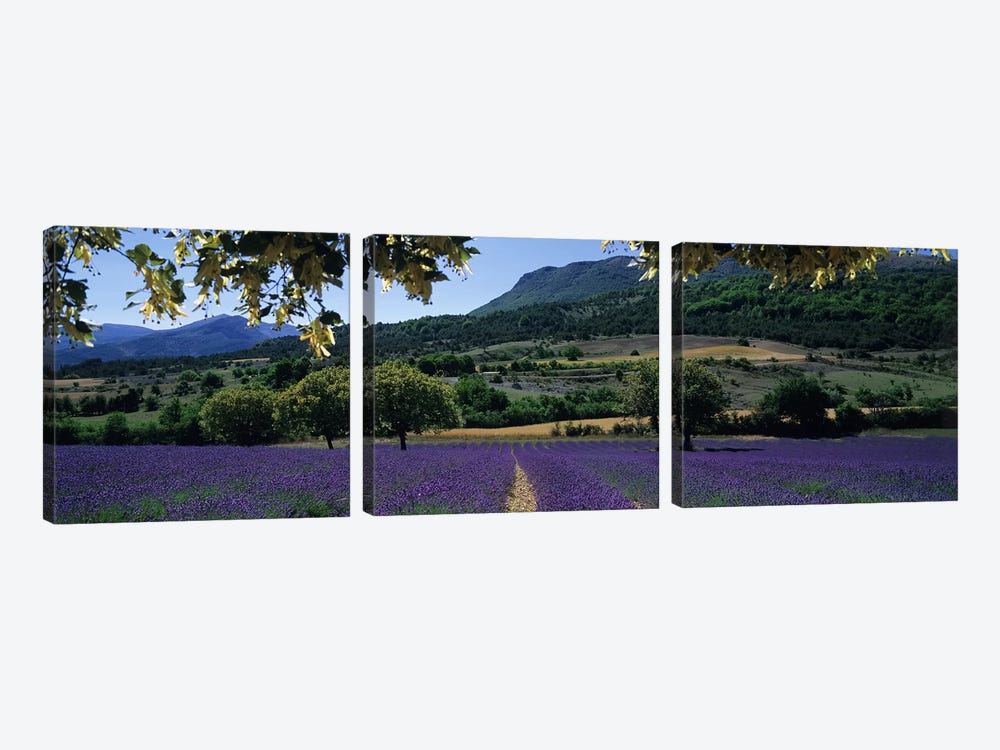 Countryside Landscape I, Provence-Alpes-Cote d'Azur France by Panoramic Images 3-piece Canvas Art Print