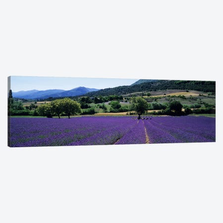 Countryside Landscape II, Provence-Alpes-Cote d'Azur France Canvas Print #PIM5044} by Panoramic Images Canvas Print