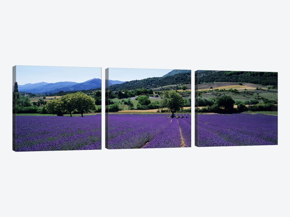 Countryside Landscape II, Provence-Alpes-Cote d'Azur France by Panoramic Images 3-piece Canvas Wall Art