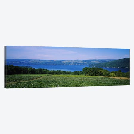 Vineyard Landscape, Keuka Lake, Finger Lakes, New York, USA Canvas Print #PIM5107} by Panoramic Images Canvas Wall Art