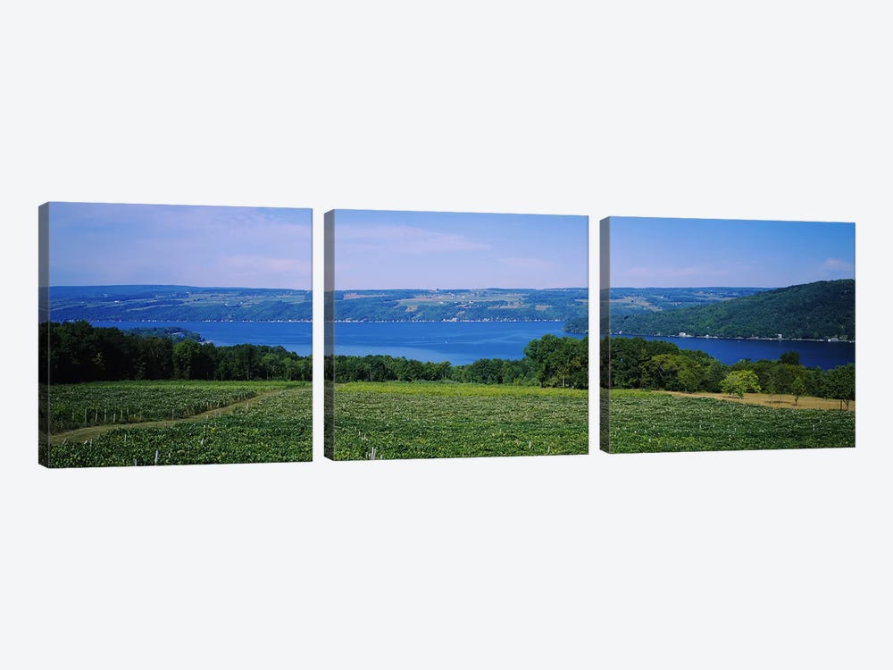 Vineyard Landscape, Keuka Lake, Finger Lakes, New York, USA by Panoramic Images 3-piece Canvas Artwork