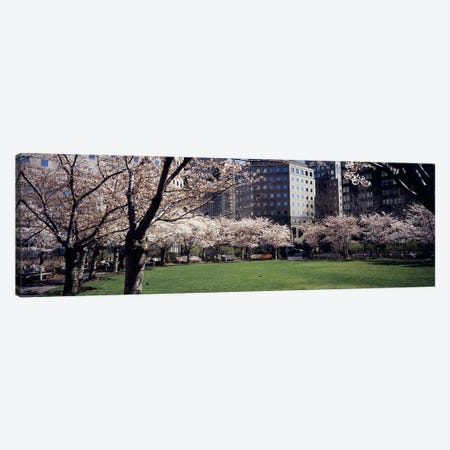 Trees in a park, Central Park, Manhattan, New York City, New York State, USA Canvas Print #PIM5140} by Panoramic Images Art Print