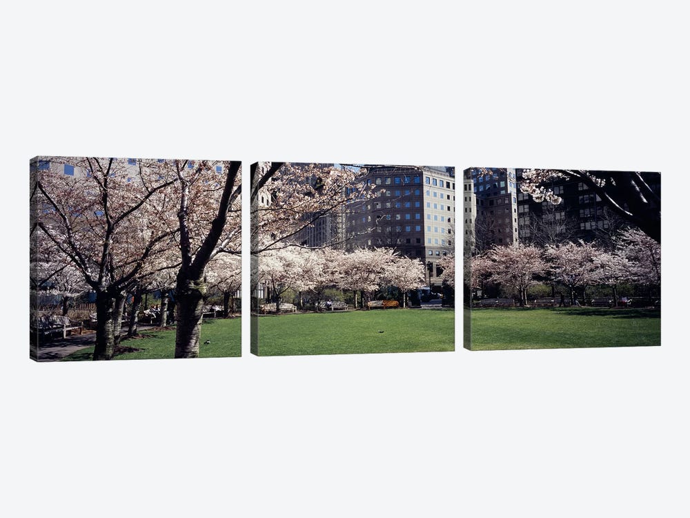 Trees in a park, Central Park, Manhattan, New York City, New York State, USA by Panoramic Images 3-piece Canvas Art Print