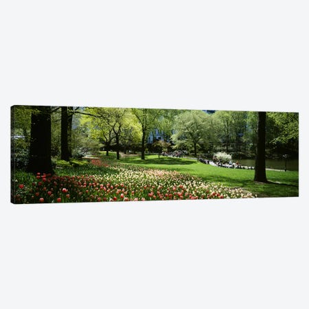 Flowers in a park, Central Park, Manhattan, New York City, New York State, USA Canvas Print #PIM5141} by Panoramic Images Art Print
